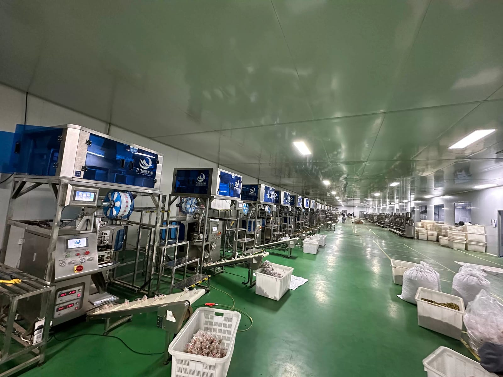 Herbal tea production hall with tea bag forming line